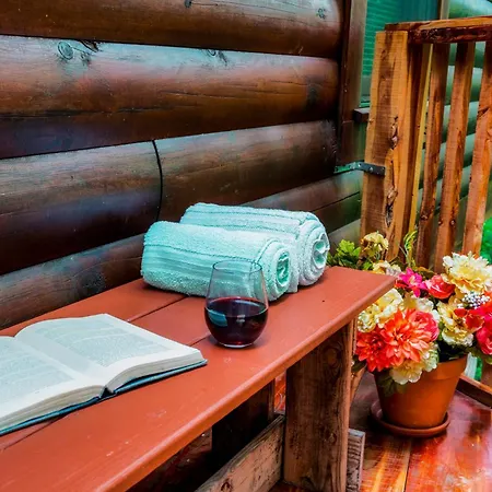 Cabin In A Gated Resort With Seasonal Resort Pool Pigeon Forge Exterior photo